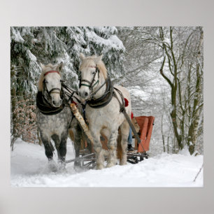 Poster traîneau+randonnée,neige,forêt,cheval,hiver,blanc,