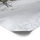 Poster traîneau+ride, neige, forêt, cheval, hiver, blanc, (Coin)