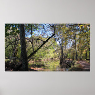 Poster Traînée de course de Taureau