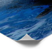 Poster Trainer sur orque orque orque orque (Coin)