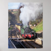 TRAINS À VAPEUR