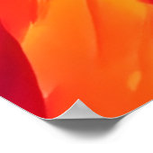 Poster Traits de joie vibrants (Coin)