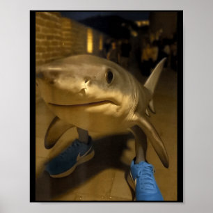 Poster Tralalero tralala requin mème