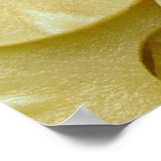 Poster Tranches d'ananas (Coin)