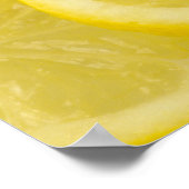 Poster Tranches de citron (Coin)