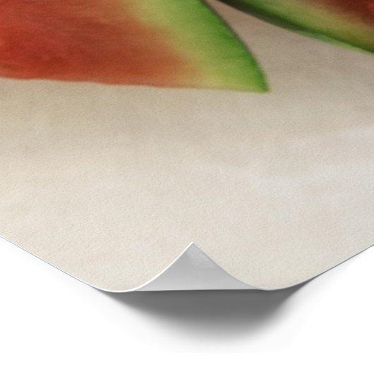 Poster Tranches de pastèque (Coin)