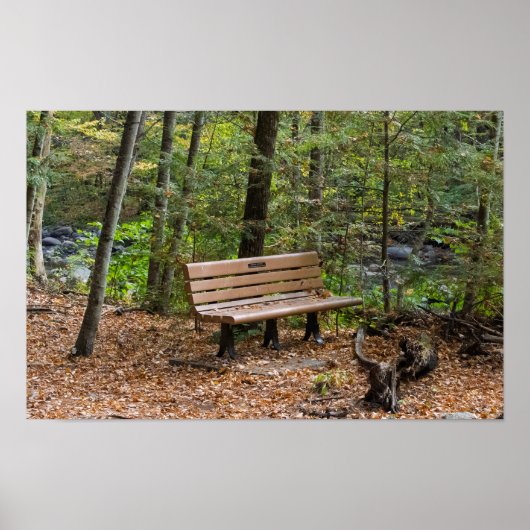 Poster Tranquil Forest Bench in Autumn (Devant)