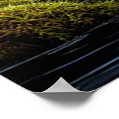 Poster 🌿 Tranquil Forest Stream with Wildflowers 💜✨ (Coin)