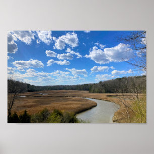 Poster Tranquille Marécage Wetland Yorktown Virginie