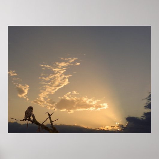 Poster Tranquillité (Devant)