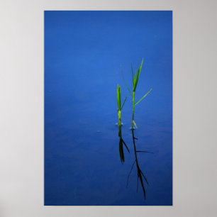 Poster Tranquillité