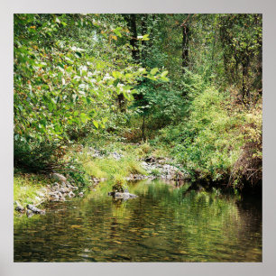 Poster Tranquillité dans les bois......