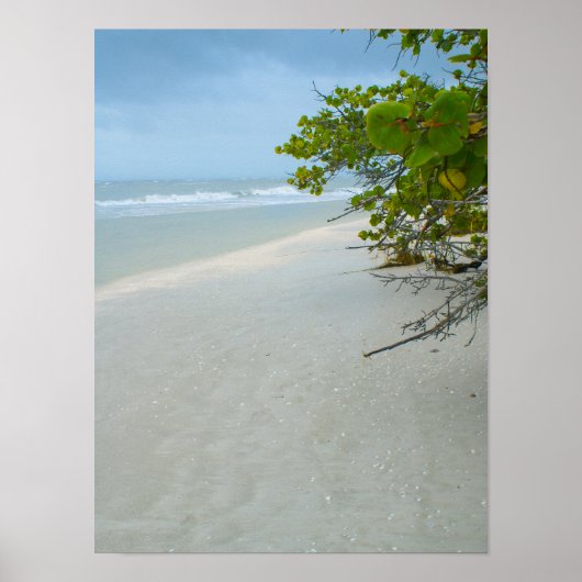 Poster Tranquillité Sur L'Île De Sanibel (Devant)