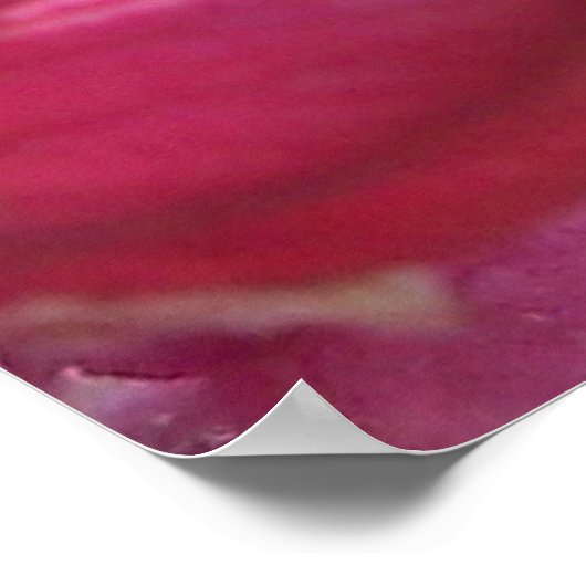 Poster Tranquilo (Coin)