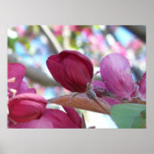 Poster Tranquilo (Devant)