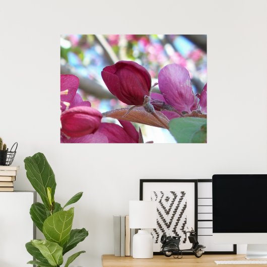 Poster Tranquilo (Bureau à domicile)