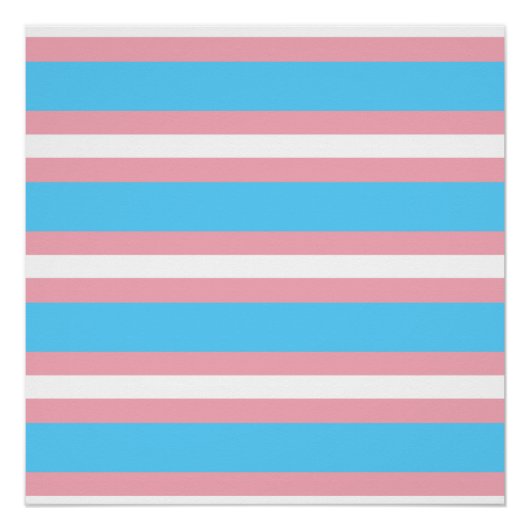 Poster trans (Devant)