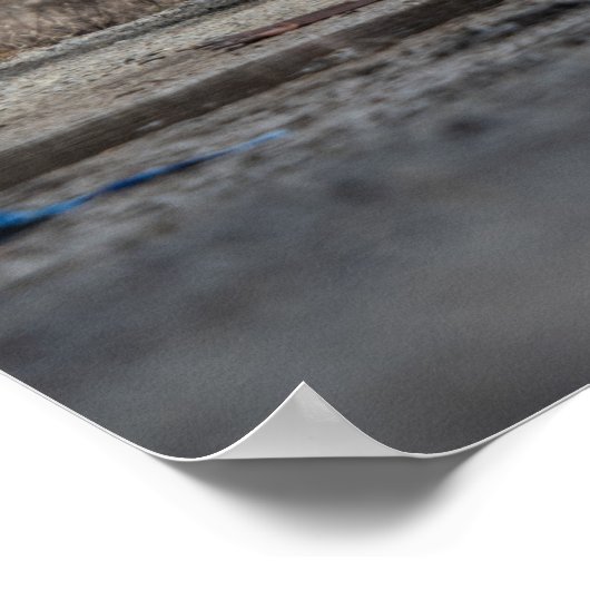 Poster Trans Am (Coin)