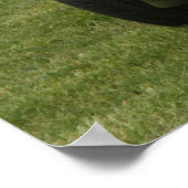 Poster Trans Am (Coin)