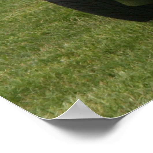 Poster Trans Am (Coin)