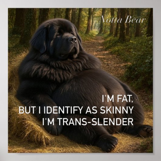 Poster Trans-mince  (Devant)