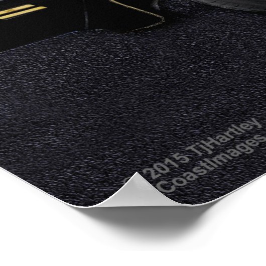 POSTER TRANSAM 1978 TA 6.6 (Coin)