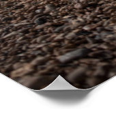 Poster Transats Face À La Mer (Coin)