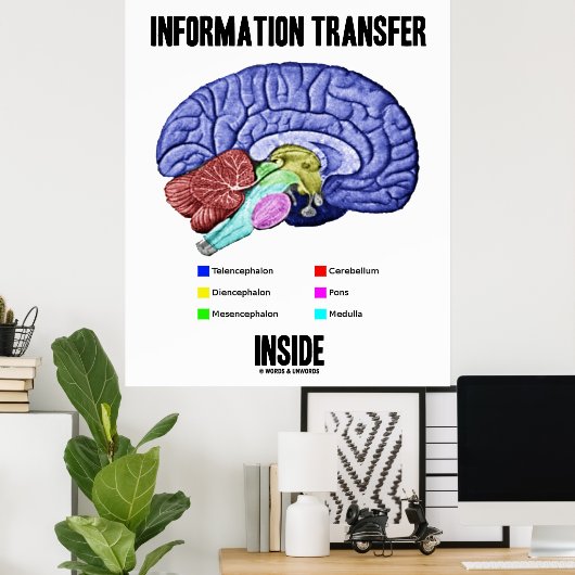 Poster Transfert d'informations à l'intérieur (anatomie c (Bureau à domicile)