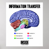 Poster Transfert d'informations à l'intérieur (anatomie c (Devant)
