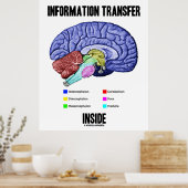 Poster Transfert d'informations à l'intérieur (anatomie c (Cuisine)