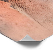 Poster Transfiguration cosmique (Coin)