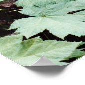 Poster Transformation (Coin)