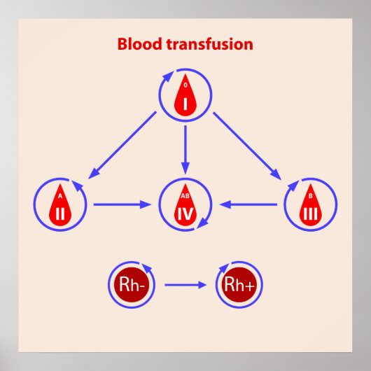 Poster transfusion sanguine infographique (Devant)