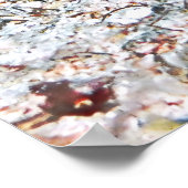 Poster Transition moyenne (Coin)