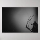 POSTER TRANSLUCENTE 8 (Devant)