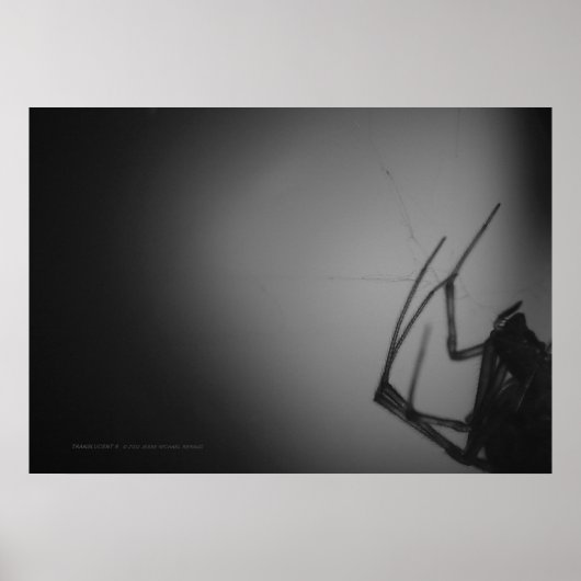 POSTER TRANSLUCENTE 8 (Devant)