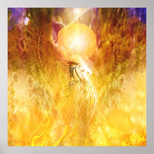 Poster TRANSMUTATION D'Oiseaux De Feu Phoenix (Devant)