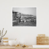 Poster Transport de chiens de l'Alaska 1916 (Cuisine)
