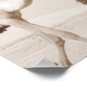 Poster transport désertique (Coin)