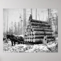 Transport d'un chargement de rondins, 1908. Photo 