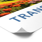 Poster Transylvanie Roumanie Imprimer Voyage (Coin)