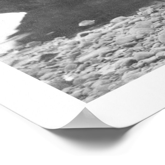 Poster Trapper avec des hanches et des chiens Alaska 1906 (Coin)