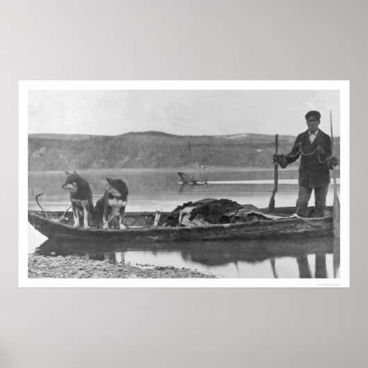 Poster Trapper avec des hanches et des chiens Alaska 1906 (Devant)