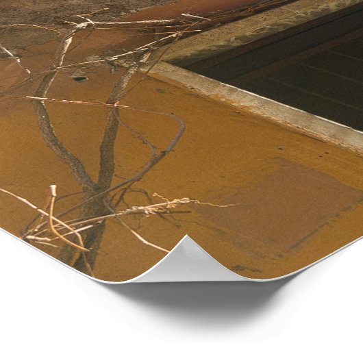 Poster Trastevere Rome (Coin)