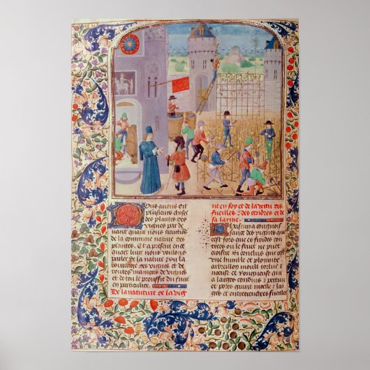 Poster Travailler dans le vignoble (Devant)