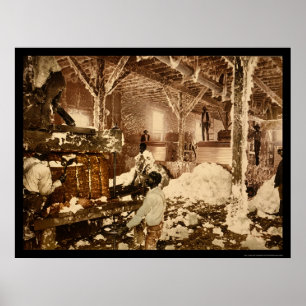 Poster Travailleurs à l'intérieur du genièvre de coton au