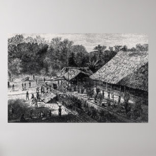 Poster Travailleurs dans une plantation de café