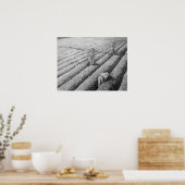 Poster Travailleurs mexicains migrants de Watsonville (Cuisine)