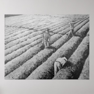 Poster Travailleurs mexicains migrants de Watsonville