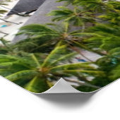 Poster Travel Poster: Inspire Your Next Adventure (Coin)